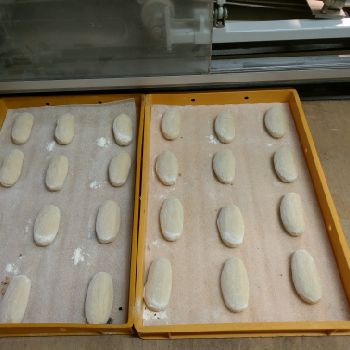 Werner Pfleiderer SC51 Complete bread production line