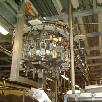 LINCO LINIA SORTOWANIA TUSZKI Food machinery