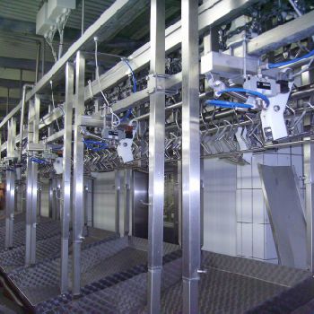 LINCO LINIA SORTOWANIA TUSZKI Food machinery