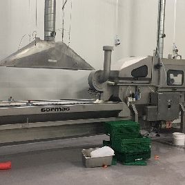Sormac USM-X100 Vegetable and fruit cutting, washing and blanching machine