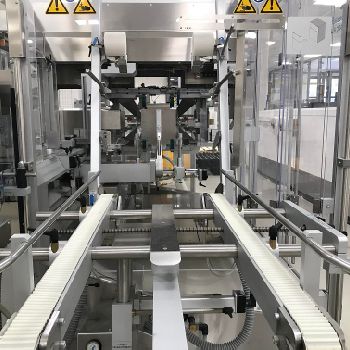 Pester Pewo Form UVP2 Case packer