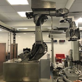 Pester EVP2 Compact Bundler, Case packer and Palletizer