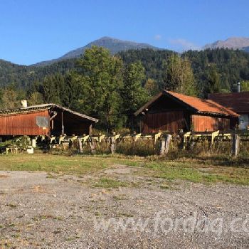 Grading line Sorting line with circular saw