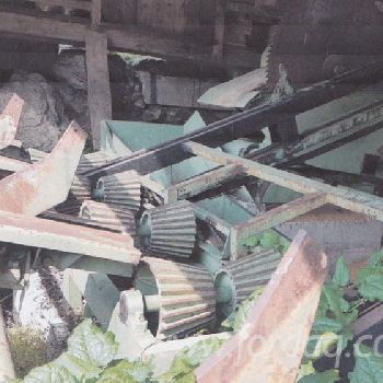 Grading line Sorting line with circular saw