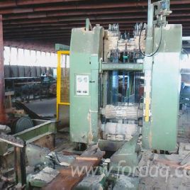 Esterer Sawmill line