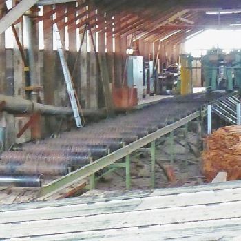 Esterer Sawmill line