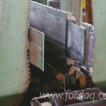 Esterer Sawmill line