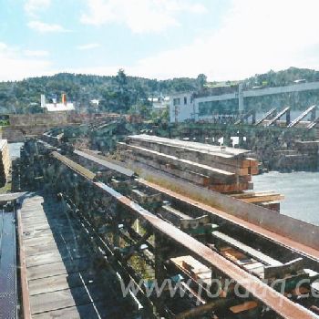 Esterer Sawmill line