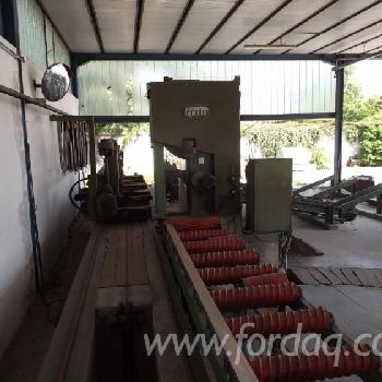 Used Primultini SE-CEA 1994 Sawmill For Sale Italy