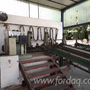 Used Primultini SE-CEA 1994 Sawmill For Sale Italy