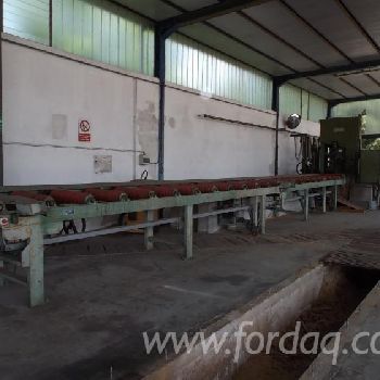 Used Primultini SE-CEA 1994 Sawmill For Sale Italy