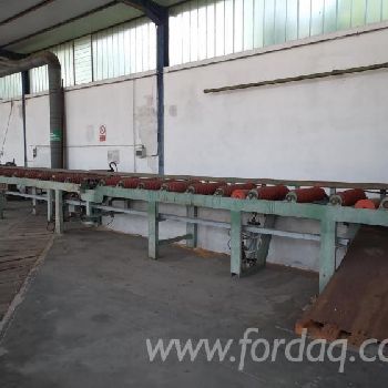 Used Primultini SE-CEA 1994 Sawmill For Sale Italy