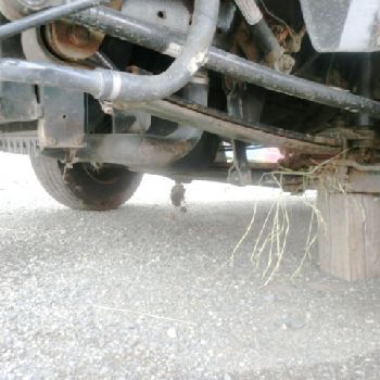 MAN L33 8.180 C 4x2, accident vehicle with frontal damage