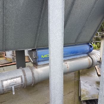 Rippert 020.MTS P 236