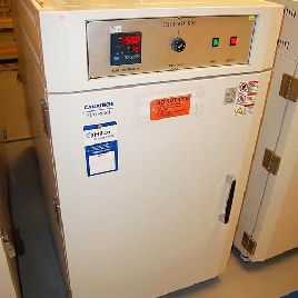 1 - Horno de convección forzado Canatech FCO-350L