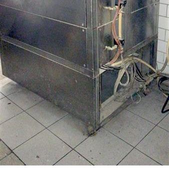 WERNER & amp; PFLEIDERER Carat