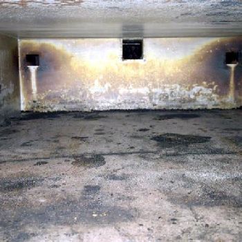 WERNER & amp; PFLEIDERER Carat