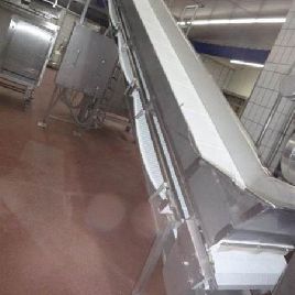 Riser / vertical conveyor