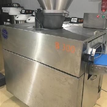 WERNER & amp; PFLEIDERER B 300