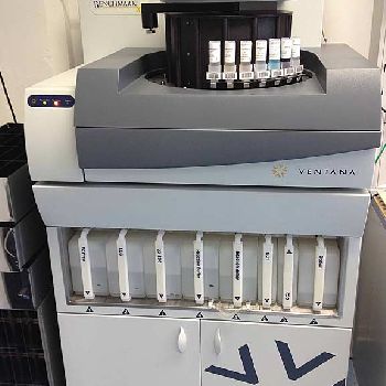 Dyeing system Ventana BenchMark XT