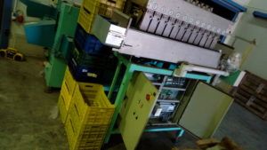 Fruits Punnets-Trays Packaging and Weighing Line/Plant