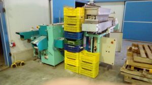 Fruits Punnets-Trays Packaging and Weighing Line/Plant