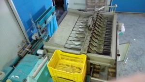 Fruits Punnets-Trays Packaging and Weighing Line/Plant