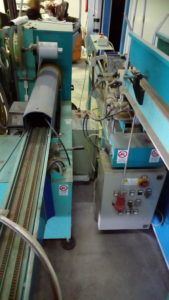 Fruits Punnets-Trays Packaging and Weighing Line/Plant