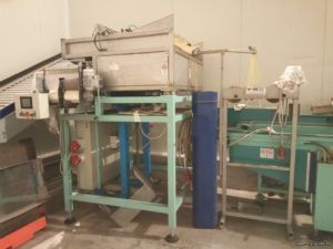 Fruits Punnets-Trays Packaging and Weighing Line/Plant