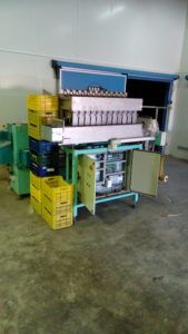 Fruits Punnets-Trays Packaging and Weighing Line/Plant