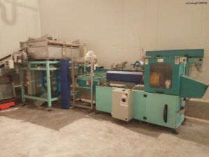 Fruits Punnets-Trays Packaging and Weighing Line/Plant