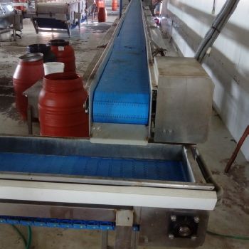 Small Vegetables Processing Line