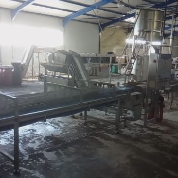 Small Vegetables Processing Line
