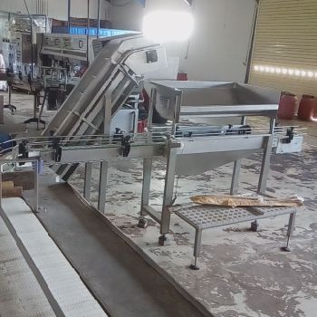 Small Vegetables Processing Line