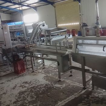 Small Vegetables Processing Line