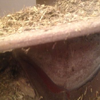 2006 Trioliet SOLOMIX 2 ZK