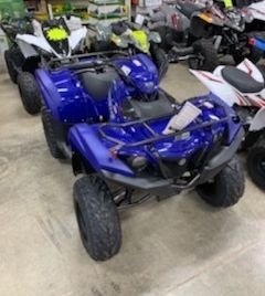 2019 Yamaha Grizzly 90