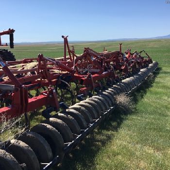 2009 Morris Maxim II