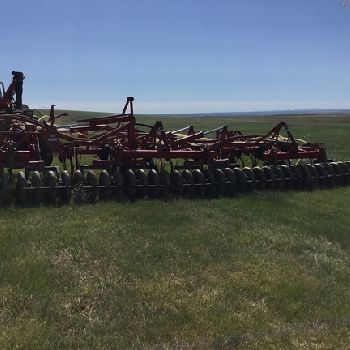 2009 Morris Maxim II