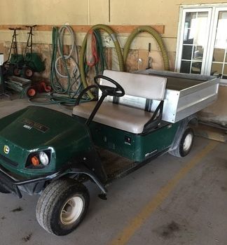 2014 Cushman Hauler