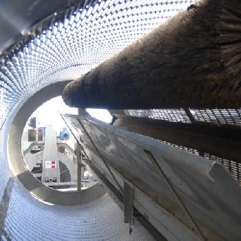 Separator for non-snipped beans in stainless steel