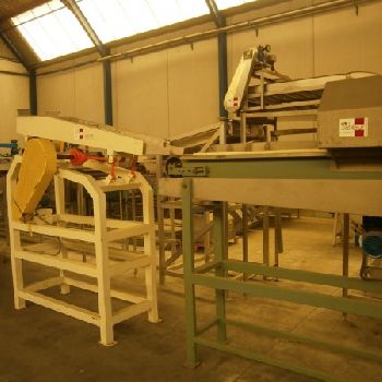 Strip cutter for peaches