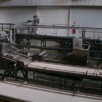 Peach processing line