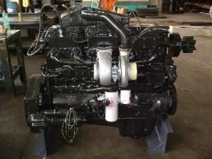 Cummins N14