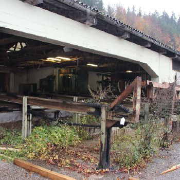 Round Timber Cutting Plant Esterer Saw Gate