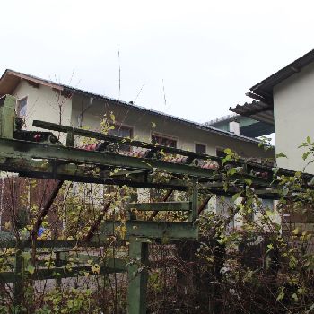 Round Timber Cutting Plant Esterer Saw Gate