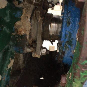 Goulds#3175M, Stainless Steel casing,2-vane 20.75" diameter Stainless Steel impeller,Stainless Steel stuffing box,packing,#29735