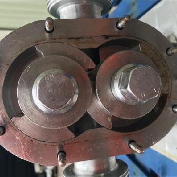 Waukesha U22 Lobe pump