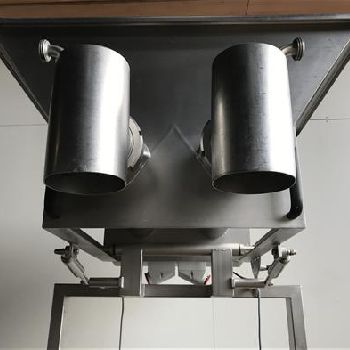 Leonhardt Stainless hopper and twin screw feeder