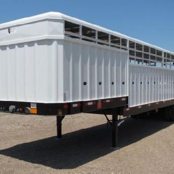 2020 NEVILLE LIVESTOCK